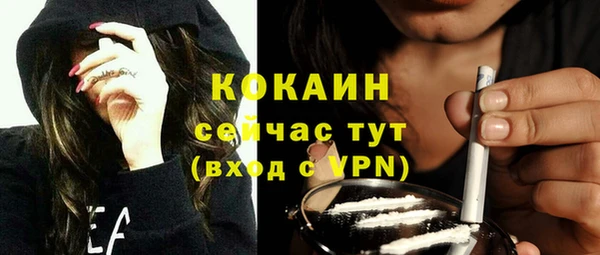 кокс Алексин