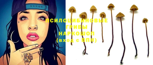 кокс Алексин